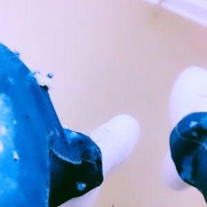 Meet your Posher, Drew